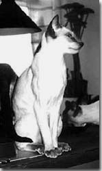 Isadora, <a href=